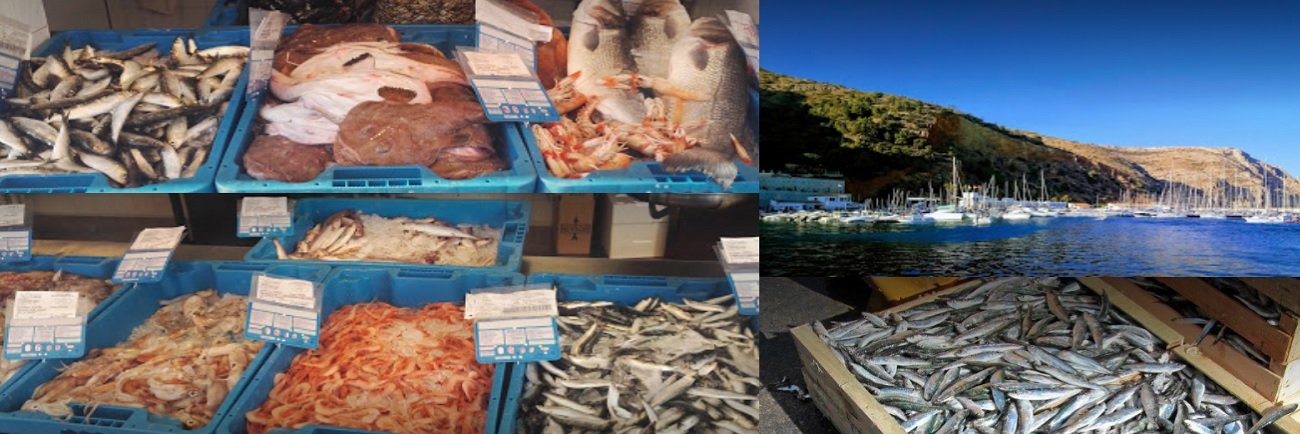 Mercados Pescado la Bahia xabia Marina Alta